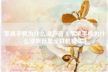 苹果手机为什么没声音(苹果手机为什么没声音显示耳机模式)
